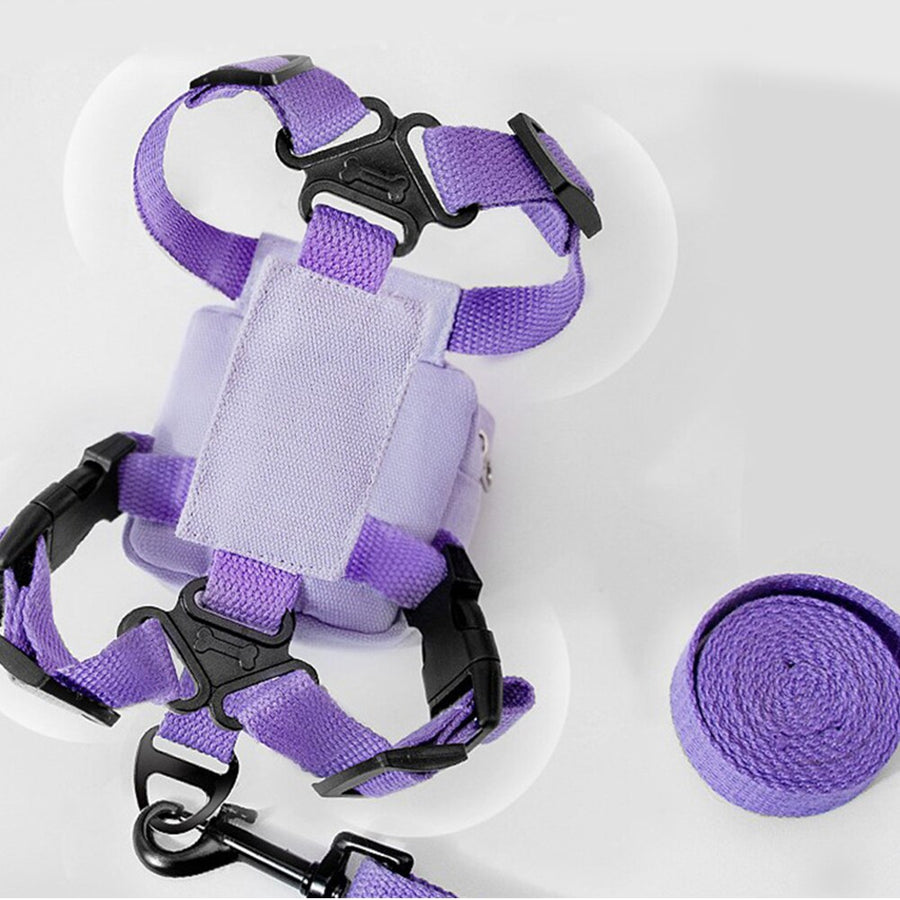 Backpack with Harness v2