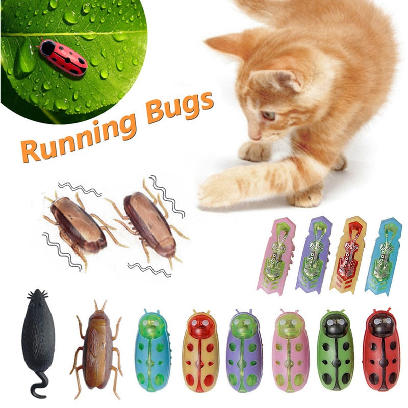 Funny Electric Bugs