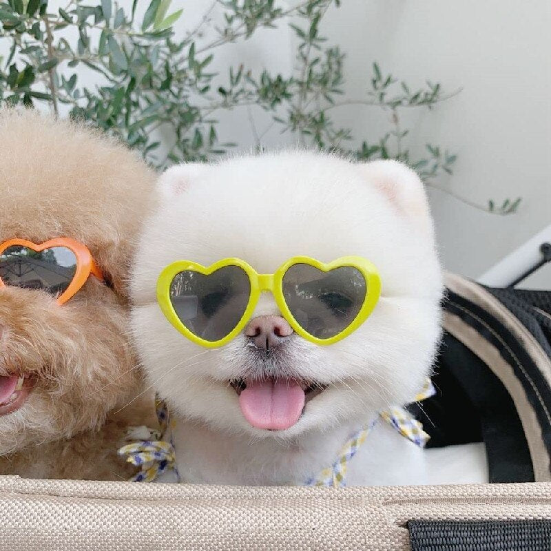 Dog/Cats Cute Glasses