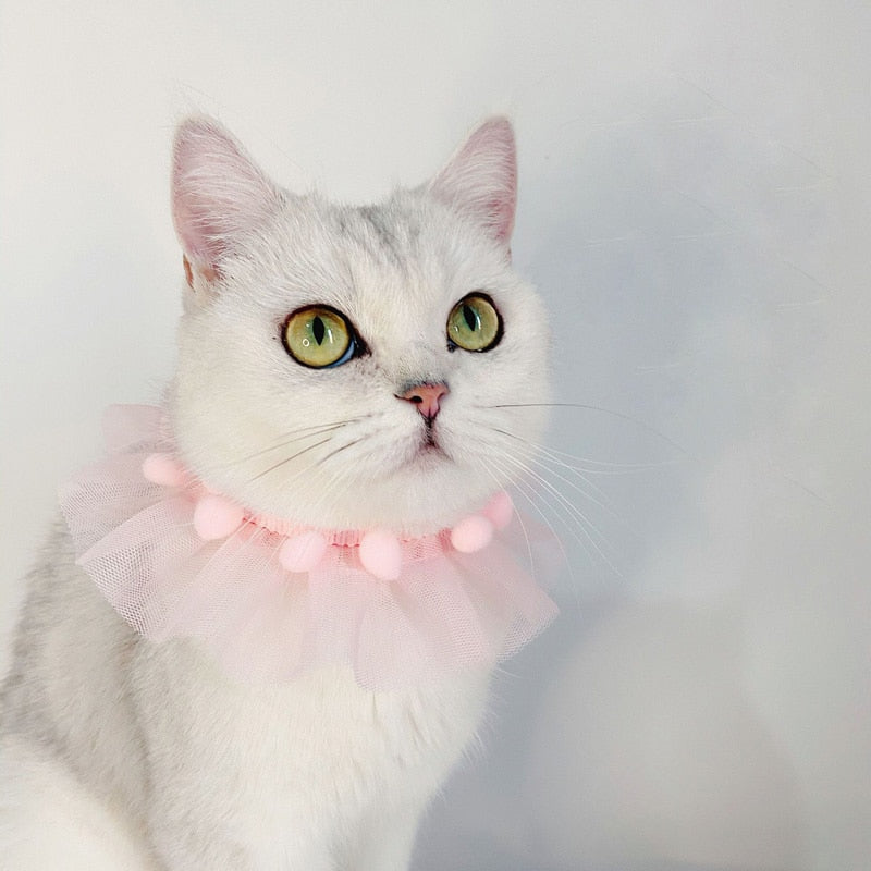 Lace Princess Collar
