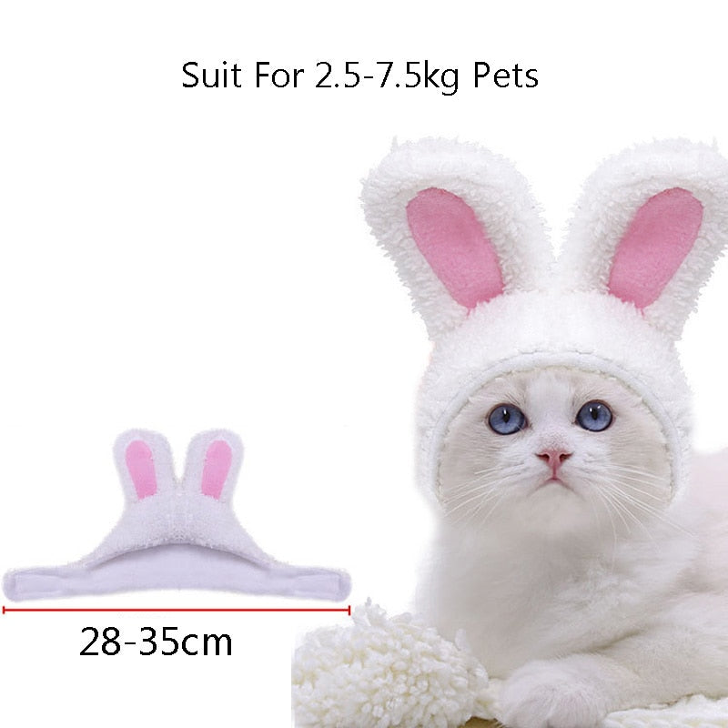 Bunny Pet Caps