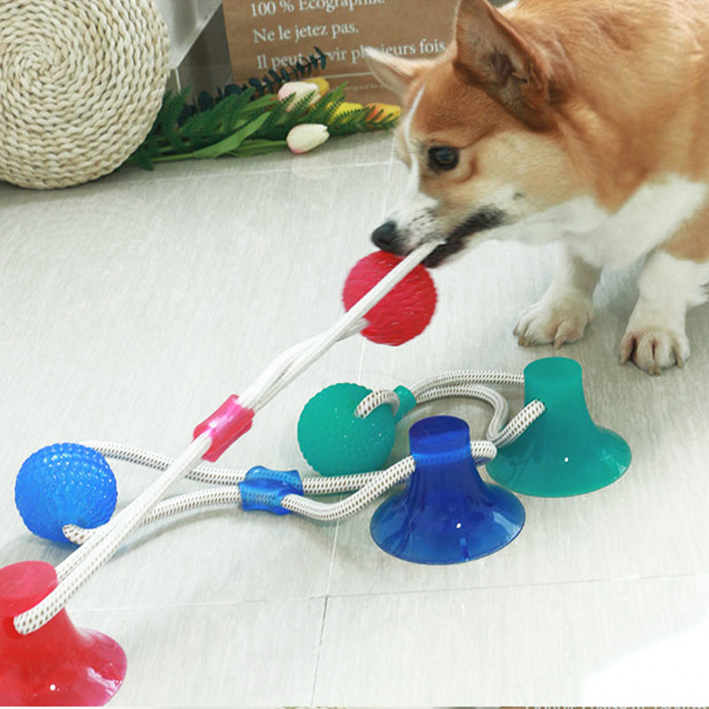 Dog Toys Interactive