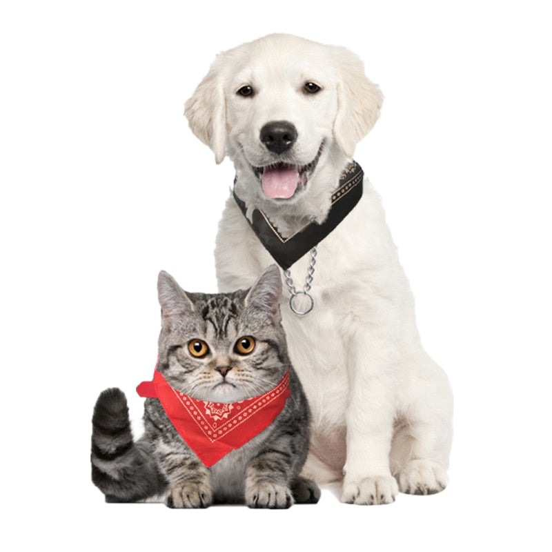 Adjustable Pets Collars